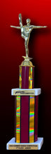 Load image into Gallery viewer, 2025 Tremaine Summer Competition Duplicate Trophy
